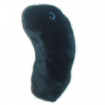 pest-riesenmikroben pest-riesenmikroben