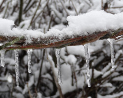 Und es ward Winter…