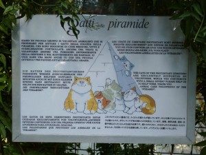 katzen-pyramide-rom-gatti-della-piramide