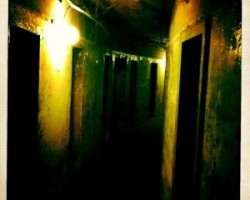 Berlin: Ölsardinen im Slaughterhouse
