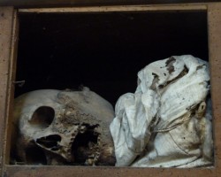 Die Mumien von Palermo