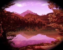 Vom Rattenkönig und dem blutenden See