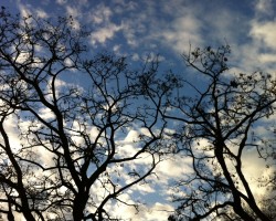 Ohne himmelblau