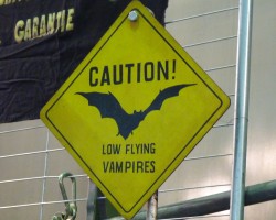 Rückblende auf! Mein WGT 2015 caution-low-flying-vampires