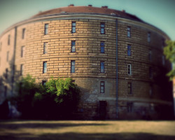 Die Irren, die Kranken und die Toten titelbild-narrenturm-wien