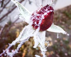11 Erkenntnisse aus 365 Tagen IMG_6432